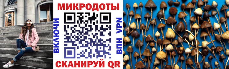 Псилоцибиновые грибы мухоморы  blacksprut   Магас 